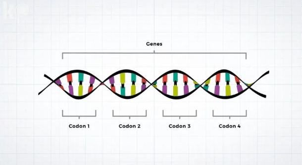 武汉正规DNA亲子鉴定中心收费标准一览！