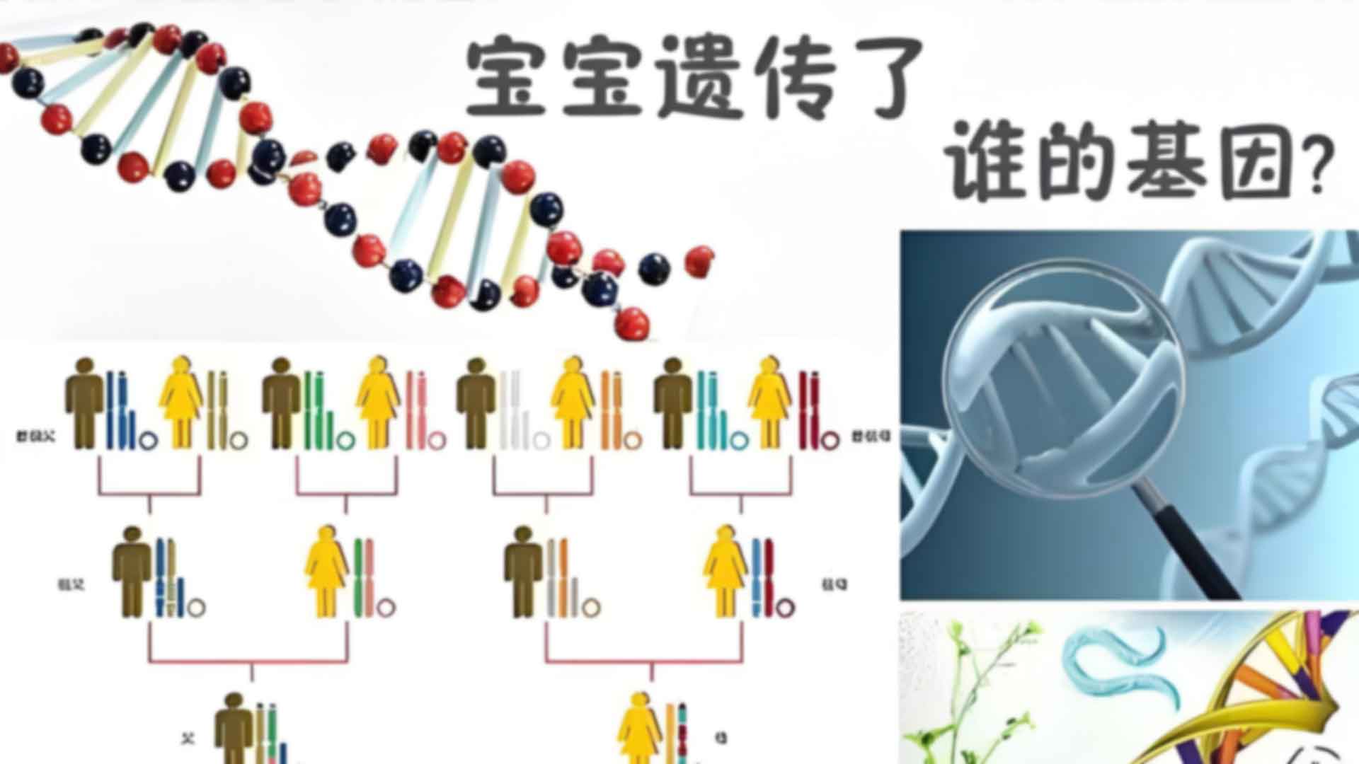 武汉江岸区产前亲子鉴定结果准确吗